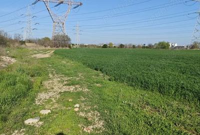 Teren de 5000 mp, în Cățelu - 2