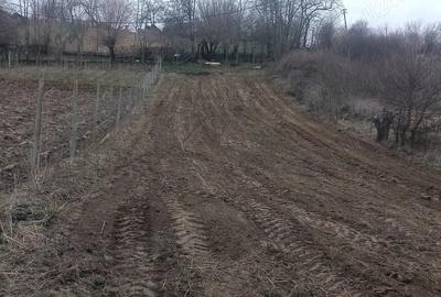 Teren de 600 mp, în Central