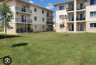 Apartament cu 3 camere decomandat, mobilat în Moșnița Nouă