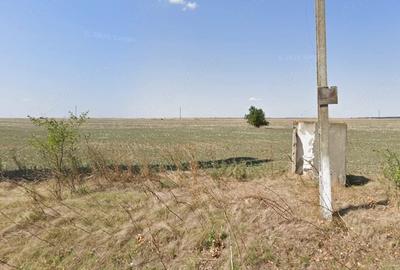 Teren de 6700 mp, în Paicu