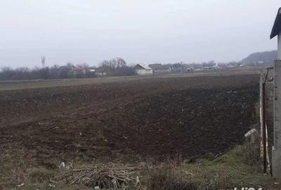 Teren de 2000 mp, în Bora - 4
