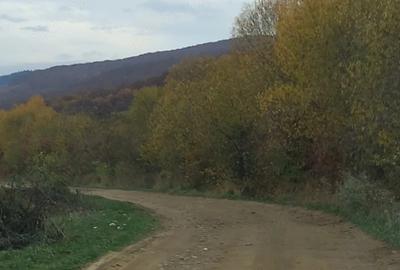 Teren de 3800 mp, în Budila - 2