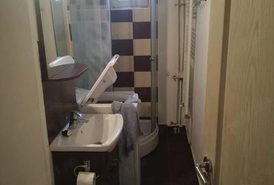 Garsonieră decomandată în Ostroveni - 6