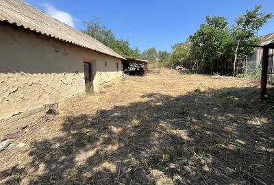 Casă cu 3 camere cu Teren 4000 Mp în Beștepe