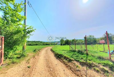 Teren agricol extravilan de 3200 mp, în Rășinari - 4
