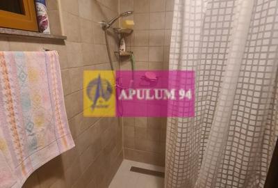 Casă individuală cu 9 camere cu Canalizare în Capul Câmpului - 25