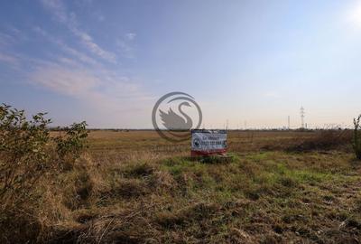 Teren agricol extravilan de 5050 mp, în Blejoi - 5