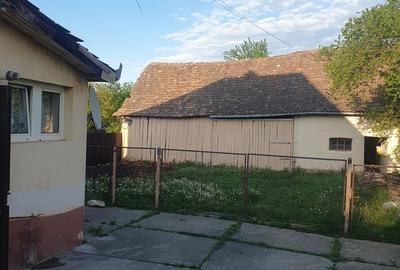Casă cu 3 camere cu Teren 2600 Mp în Brădeni - 2