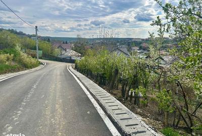 Spațiu comercial, în Valea Lupului - 5