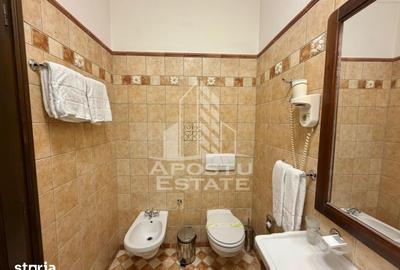 Apartament cu 2 camere, mobilat în Iosefin - 2