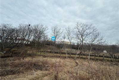Teren Construcții intravilan de 1786 mp, în Copou