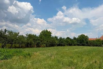 Teren de 2595 mp, în Pișchia - 7