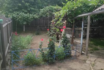 Casă cu 2 camere cu Teren 812 Mp în Central - 8