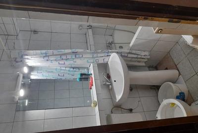 Apartament cu 3 camere nedecomandat în Rahova - 7