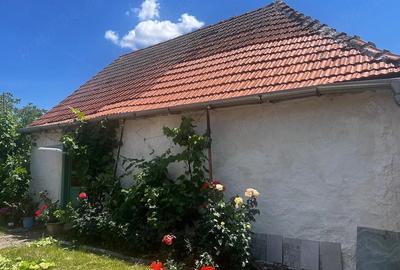 Casă cu Teren 2900 Mp în Jamu Mare - 4