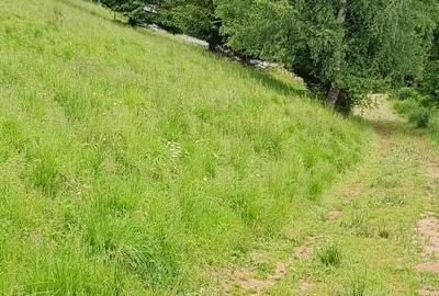 Teren de 500 mp, în Brădățel - 5