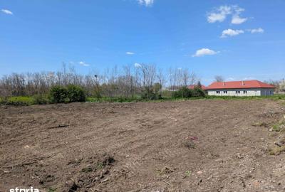Teren de 3954 mp, în Istria