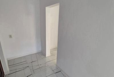 Garsonieră în Viziru 1
