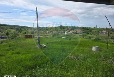 Casă cu 3 camere cu Teren 4234 Mp în Adămuș - 2