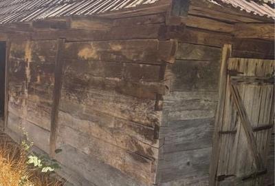 Casă în Brusturi