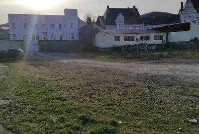 Teren de 3929 mp, în Cetate - 10