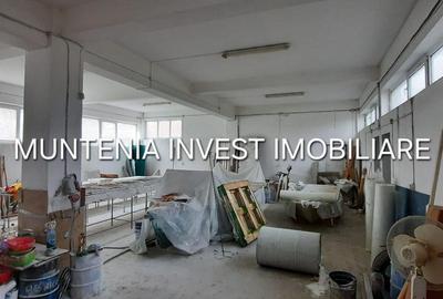 Spațiu comercial, de 672 mp, în Mărăcineni - 11
