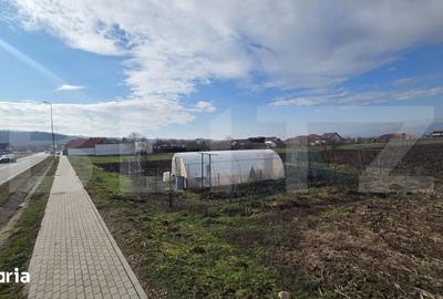 Teren de 14300 mp, în Ciugud