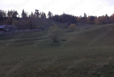 Teren de 13700 mp, în Nereju - 8