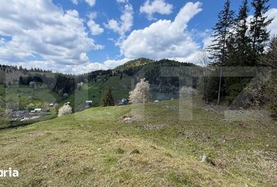 Teren de 16000 mp, în Sadova - 2