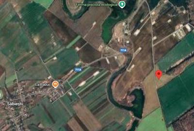 Teren agricol intravilan de 17900 mp, în Răcari