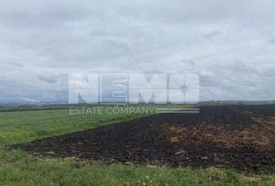 Teren agricol extravilan de 14100 mp, în Dornești - 3