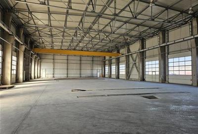 Spațiu industrial, de 719 mp, în Ciorogârla - 4