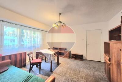 Apartament cu 2 camere semidecomandat, mobilat în Podgoria - 2