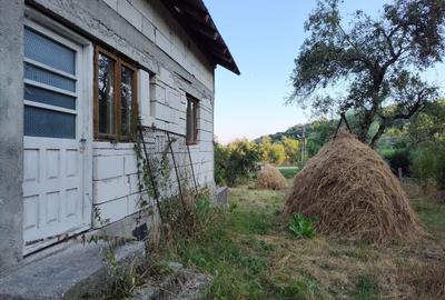 Casă cu 3 camere în Galeșu