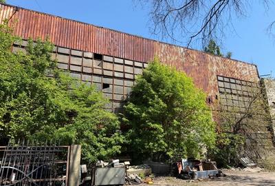Spațiu industrial, de 16,500 mp, în Domenii - 7