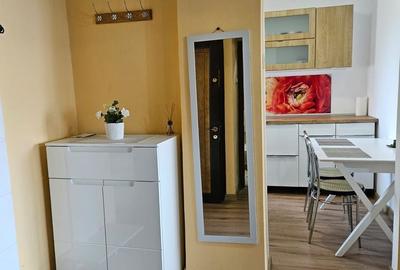 Apartament cu 2 camere decomandat în Dacia - 9