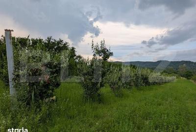 Teren de 4500 mp, în Voinești - 3