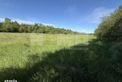 Teren de 2300 mp, în Horodnic - 2