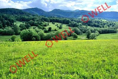 Teren de 9289 mp, în Vama Buzăului - 6