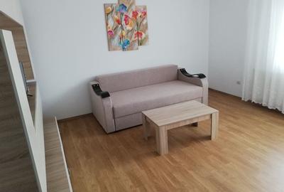 Apartament cu 2 camere decomandat în Turnișor