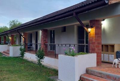 Casă individuală cu 4 camere cu Teren 1317 Mp în Snagov - 15
