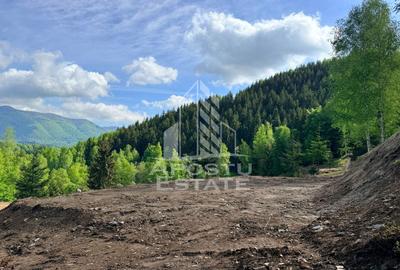 Teren Construcții extravilan de 18000 mp, în Exterior Sud - 24