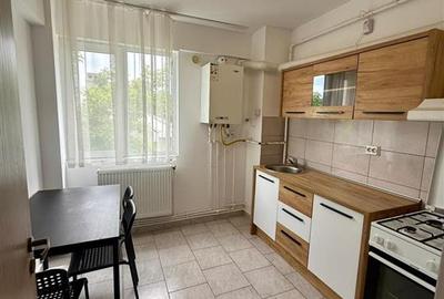 Apartament cu 2 camere decomandat în Rediu - 5