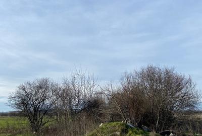 Teren de 3057 mp, în Crevedia