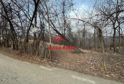 Teren Construcții intravilan de 3074 mp, în Cornu de Jos (Cornu) - 2