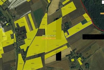 Teren de 31400 mp, în Răzoare