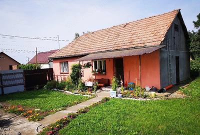 Casă cu 2 camere cu Teren 4600 Mp în Dedrad - 2