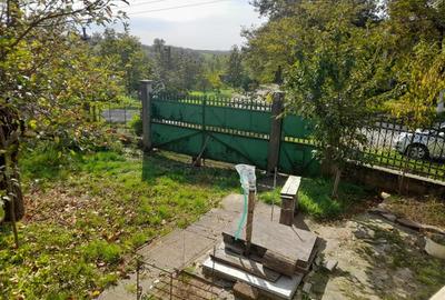 Casă cu 2 camere cu Teren 4960 Mp în Crestur