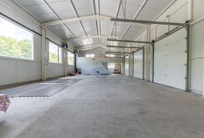 Spațiu industrial, de 220 mp, în Dancu - 6