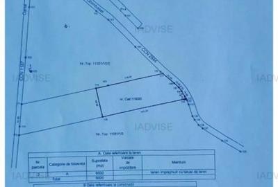 Teren Construcții intravilan de 6600 mp, în Bartolomeu - 2